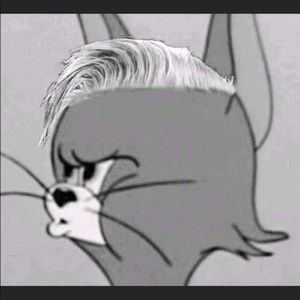 Meet your Posher, Alejandro